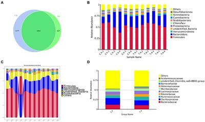 Investigation of the growth performance, blood status, gut microbiome and metabolites of rabbit fed with low-nicotine tobacco